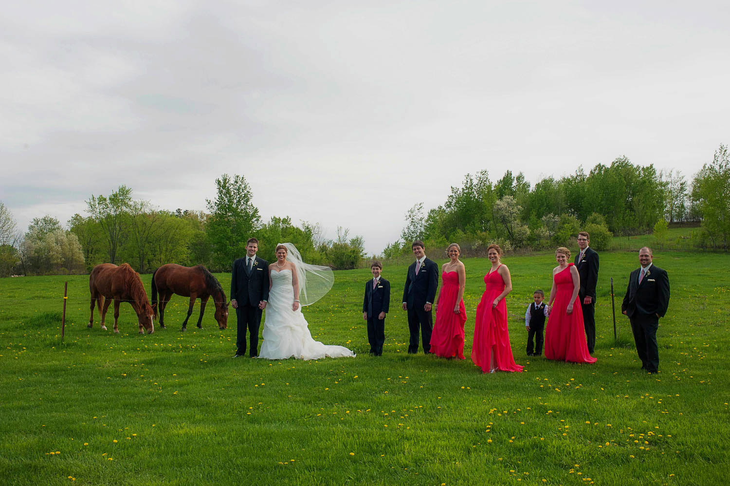 wedding party portraits at the Enchanted Barn in Wisconsin