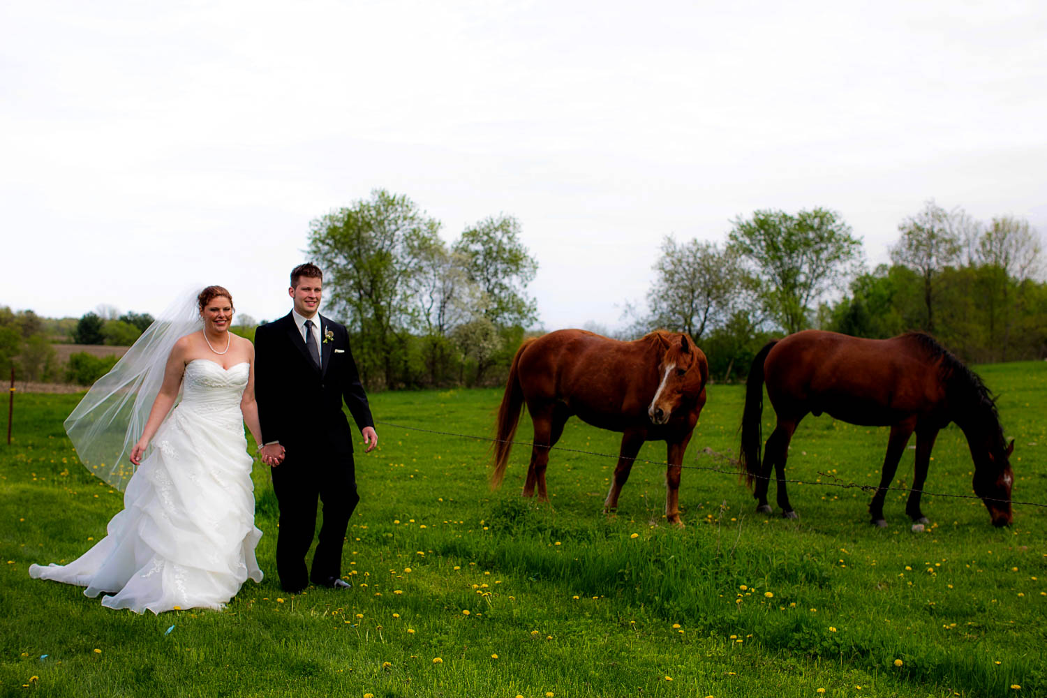 bride and groom portrait next to the horses at the Enchanted Barn in Wisconsin