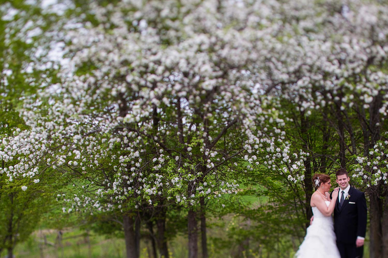 bride and groom next to flowering trees at the Enchanted Barn
