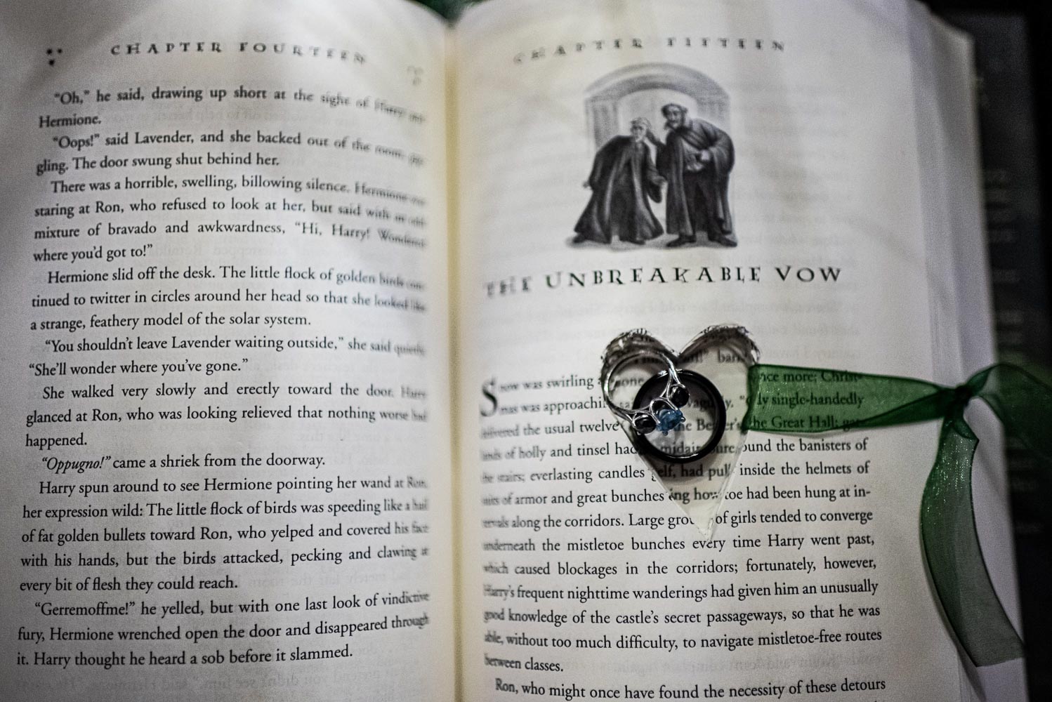 Harry Potter wedding in St Paul Minnesota