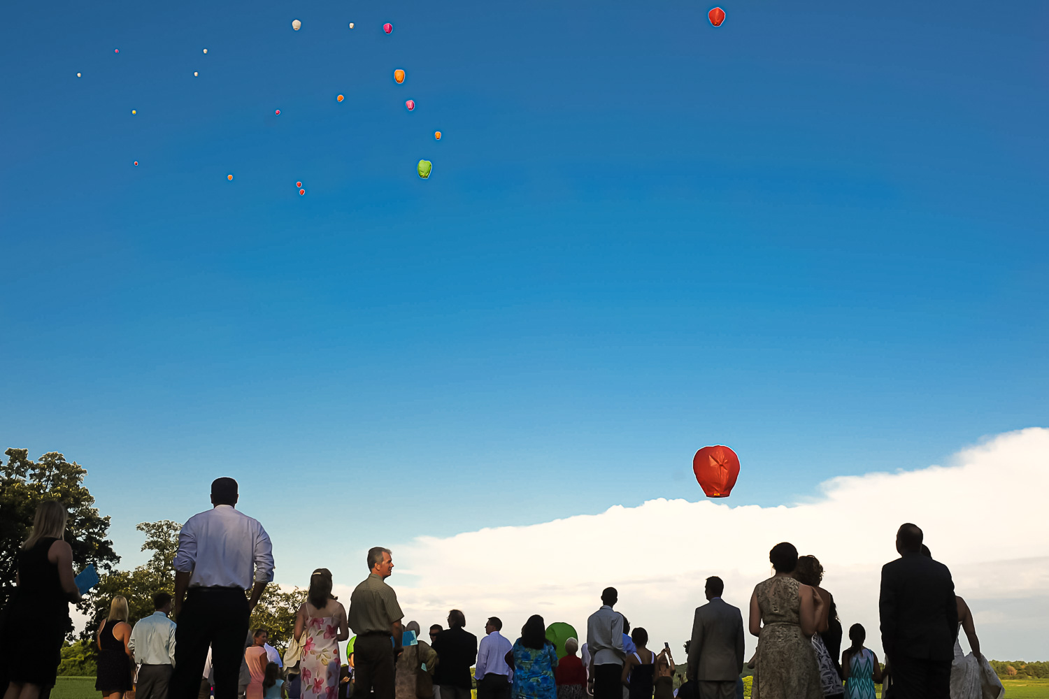 wedding guests watching paper lanterns fly after the Iowa Farm wedding