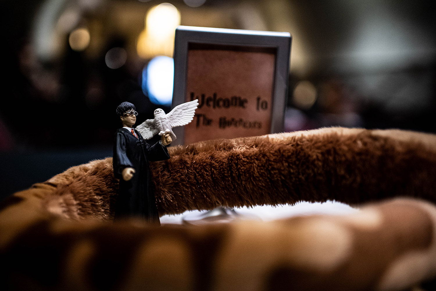 Harry Potter wedding in St Paul Minnesota