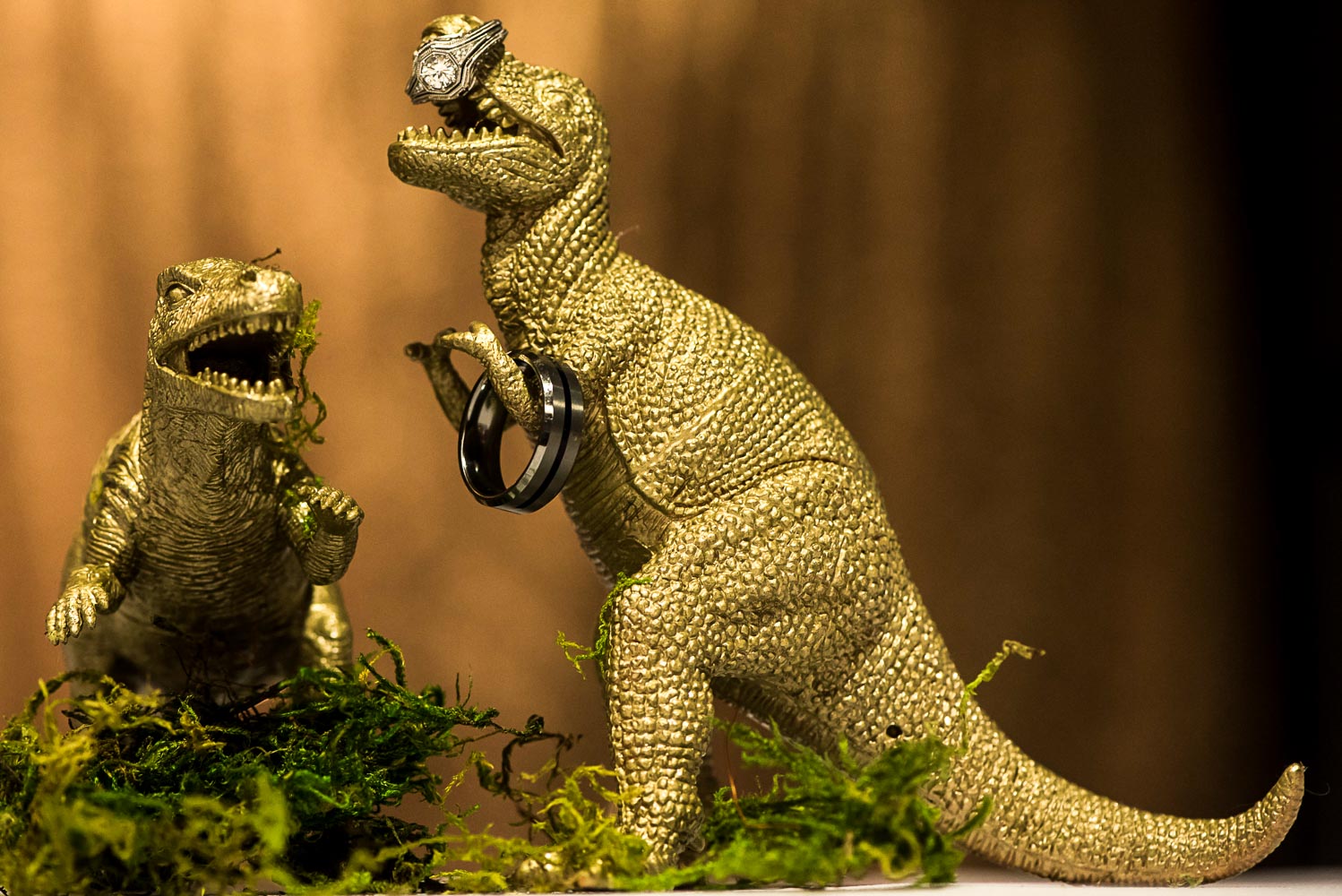 wedding rings on a T-Rex toy at the Minnesota Science Museum