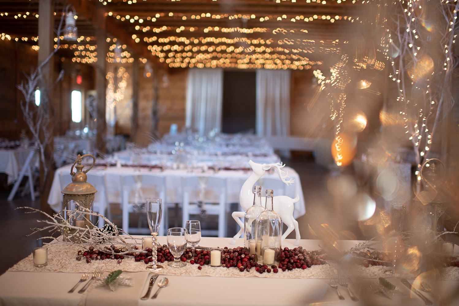 reception set up at Edgewood Farm in Minnesota