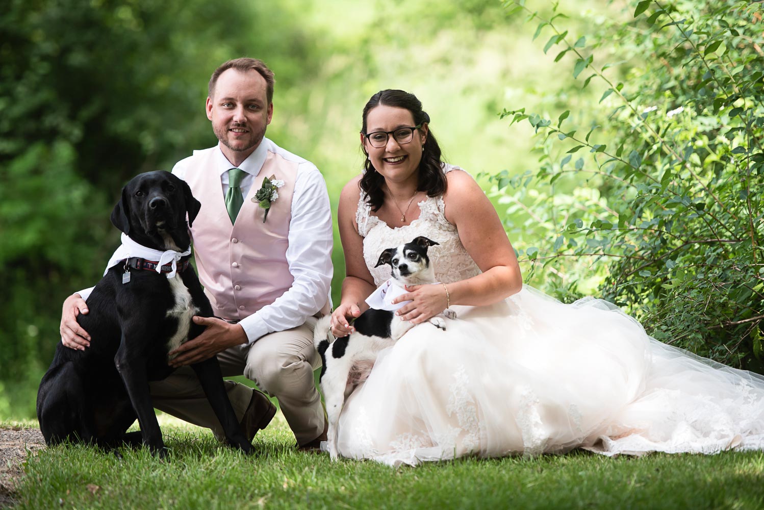 bride and groom sitting with their two dogs on their wedding day during their summer wedding at home