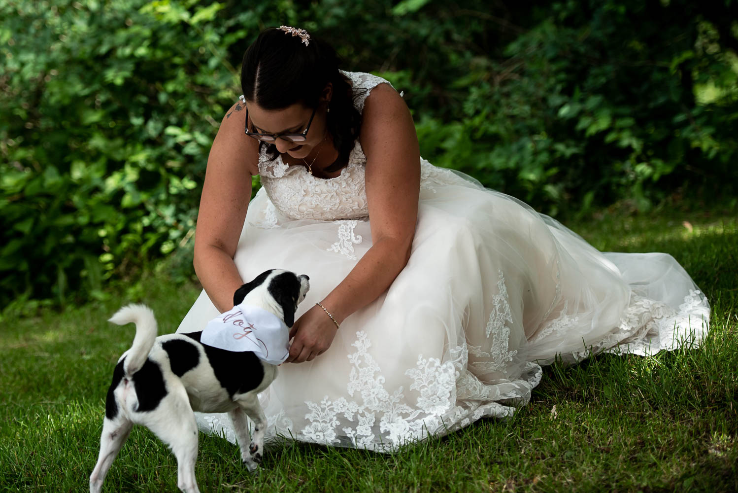 bride getting her dog ready for the wedding 