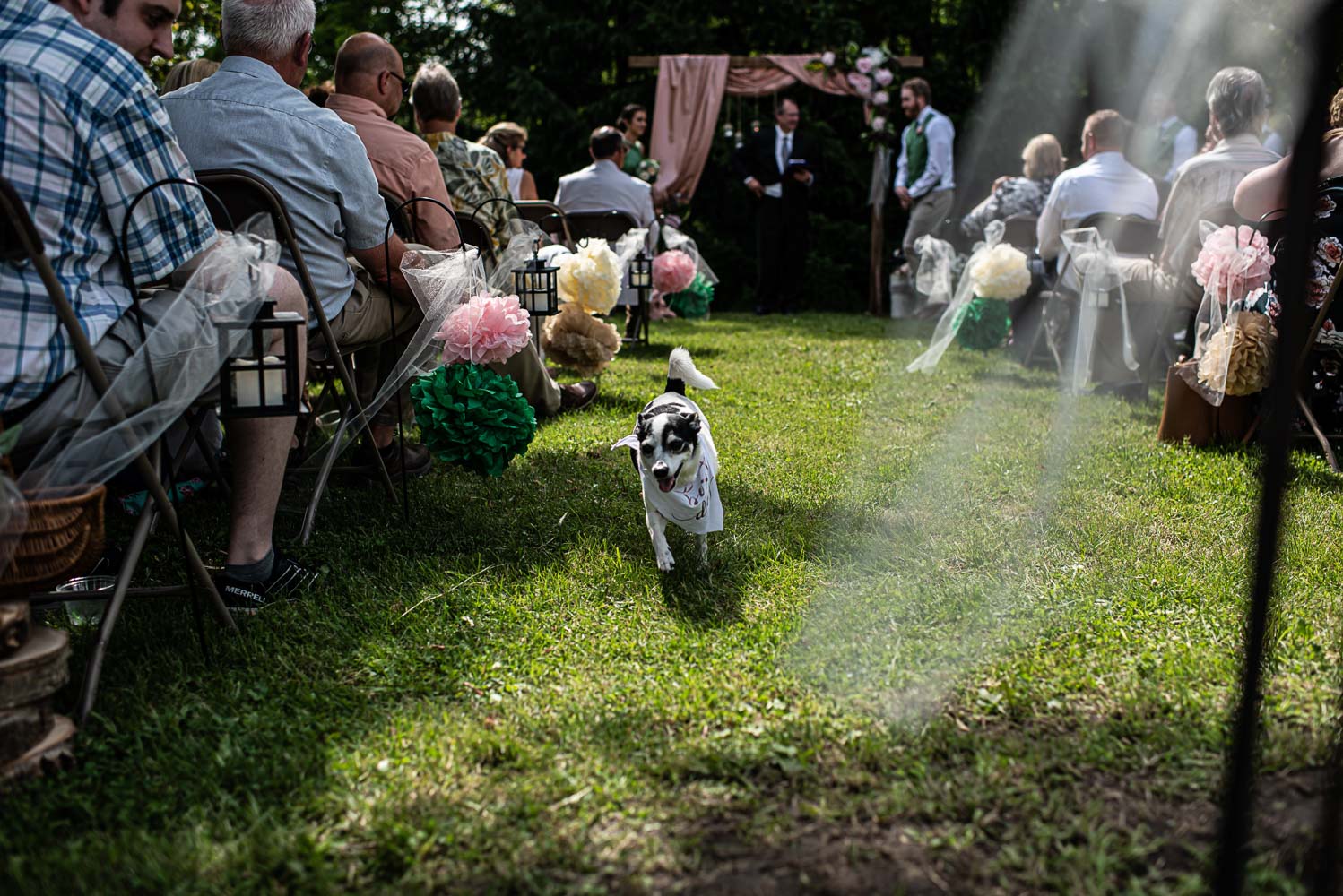flower dog walking down the aisle after the wedding ceremony 