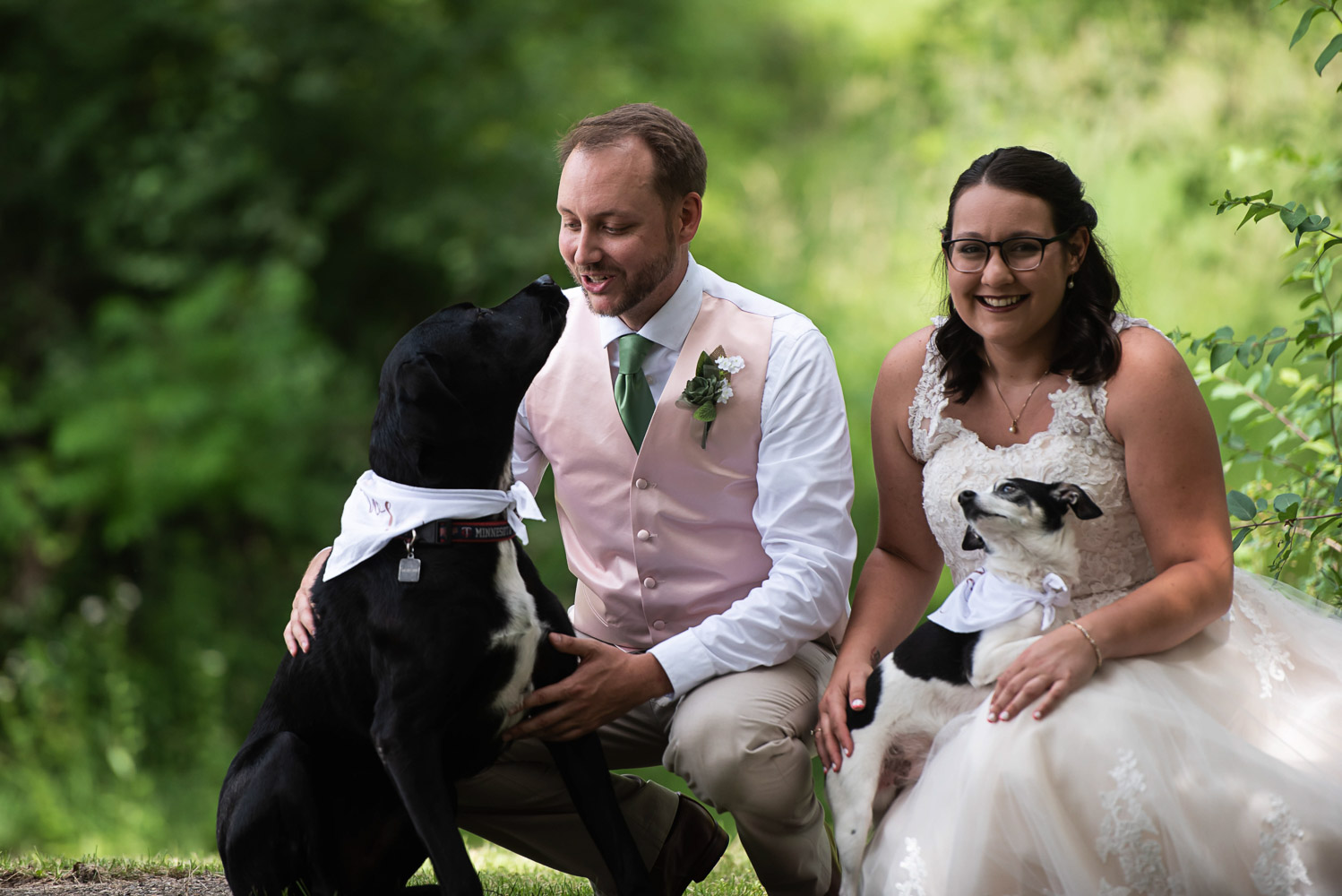 bride and groom hanging out with their dogs on at their home before their summer wedding in Minnesota